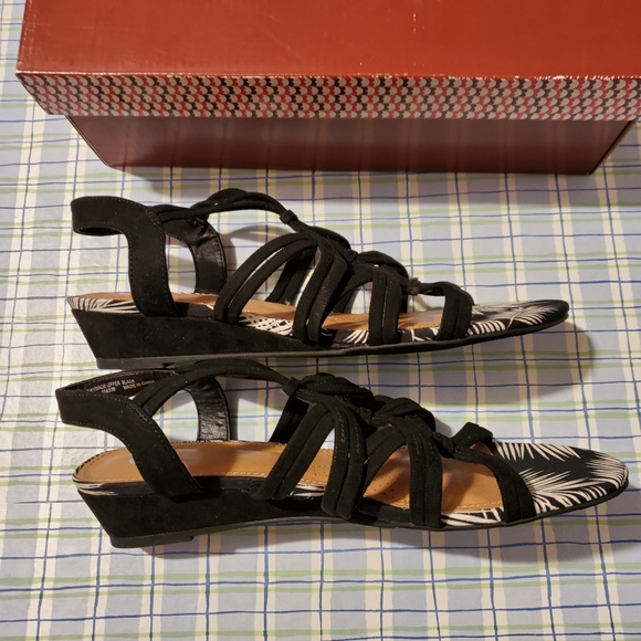 CP Wren Shoes 8M - Picture 7 of 8